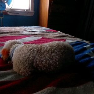 Meet your Posher, Miranda